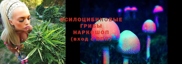 бошки Нефтекумск