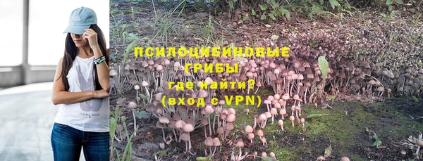 бошки Нефтекумск