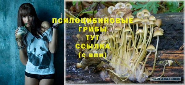 гидра Навашино