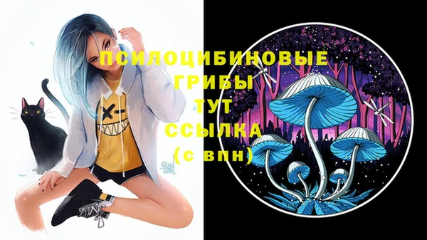таблы Нефтегорск
