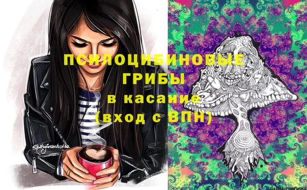 прущая мука Нея