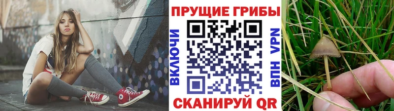 blacksprut ссылка  Макушино  Псилоцибиновые грибы ЛСД 